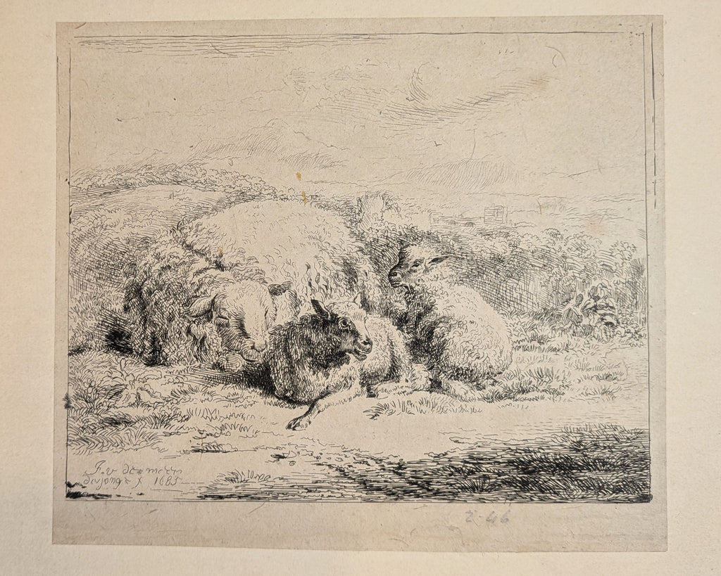 Jan van der Meer the Younger (Dutch, 1656–1705) Ewe with Two Lambs 1685 Etching