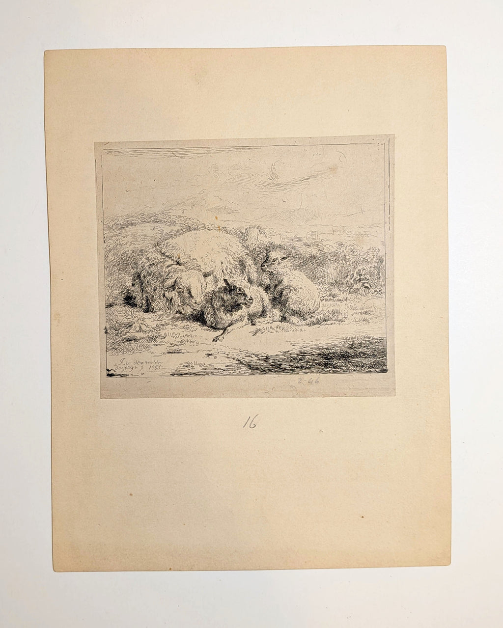 Jan van der Meer the Younger (Dutch, 1656–1705) Ewe with Two Lambs 1685 Etching