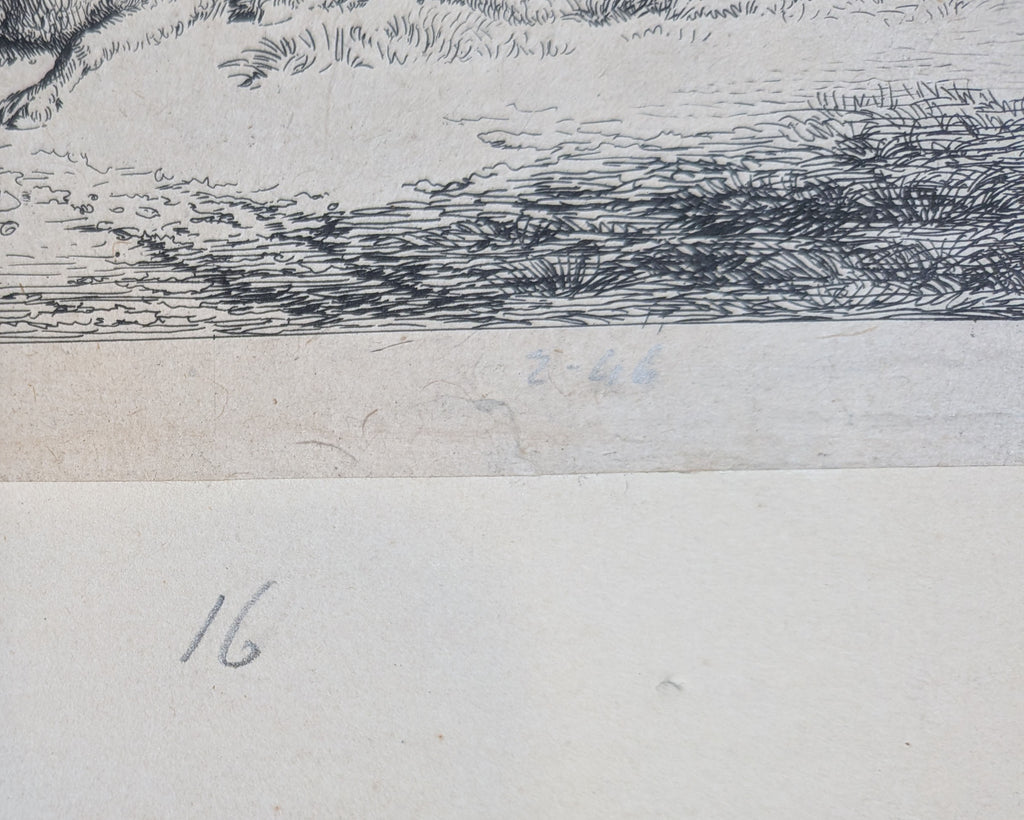 Jan van der Meer the Younger (Dutch, 1656–1705) Ewe with Two Lambs 1685 Etching
