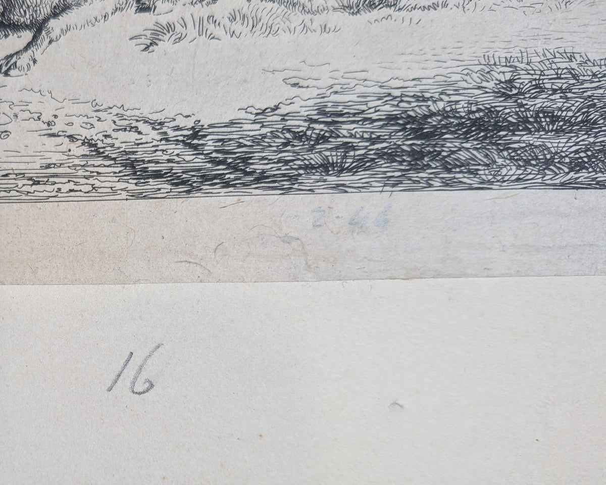 Jan van der Meer the Younger (Dutch, 1656–1705) Ewe with Two Lambs 1685 Etching