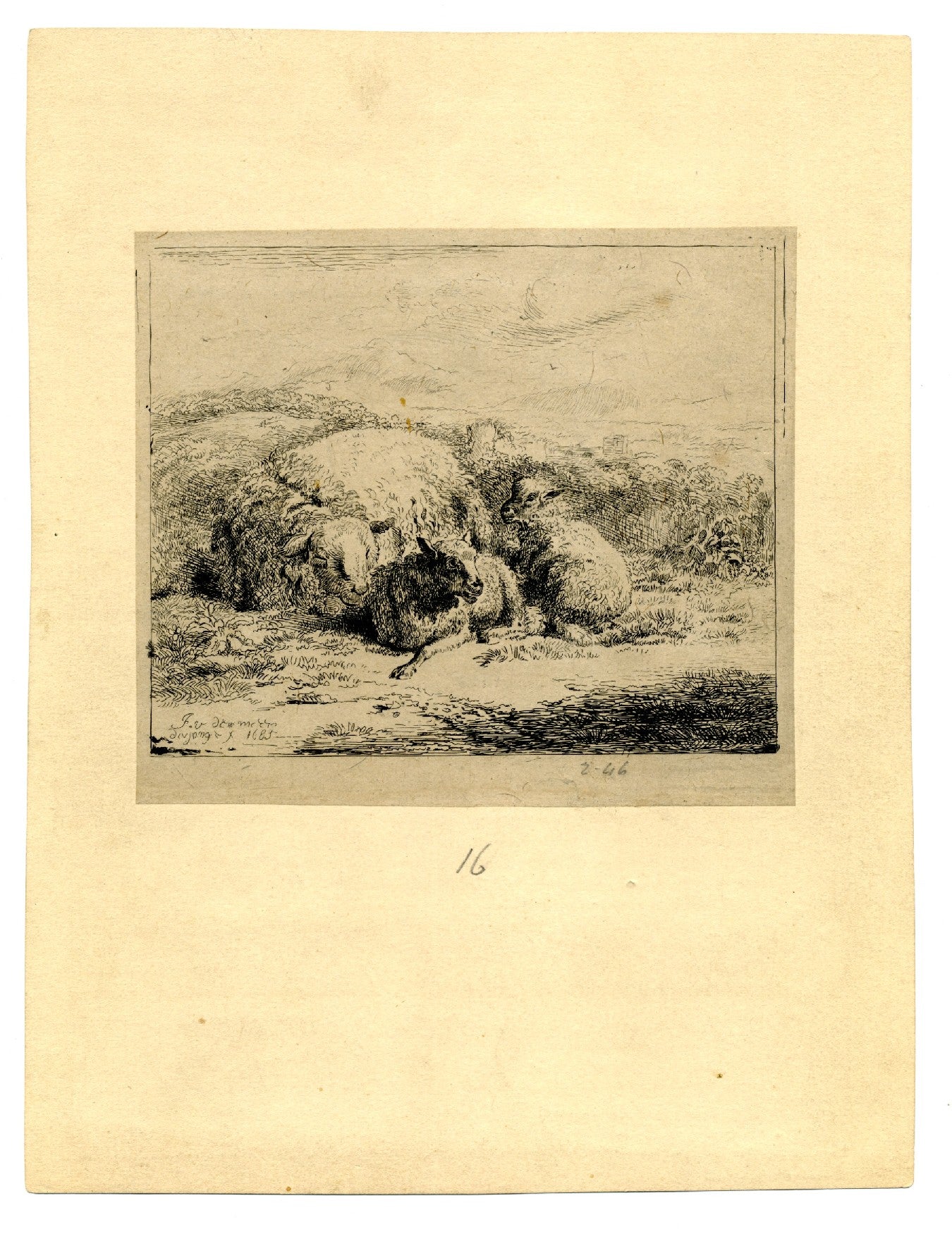 Jan van der Meer the Younger 1685 Etching Ewe (Sheep) With Lambs