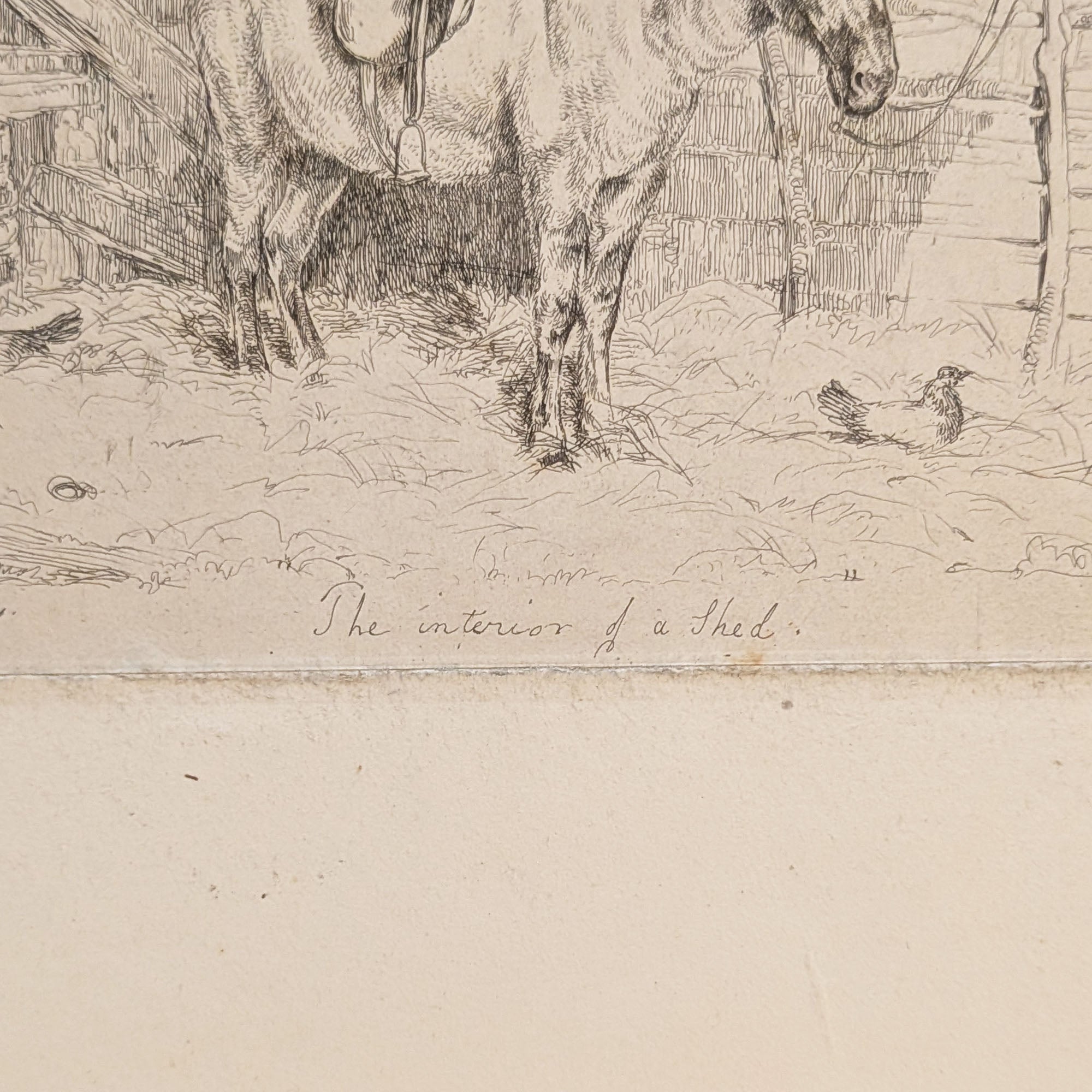 The Interior of a Shed (Donkey) | John Frederick Lewis Engraving | 1826
