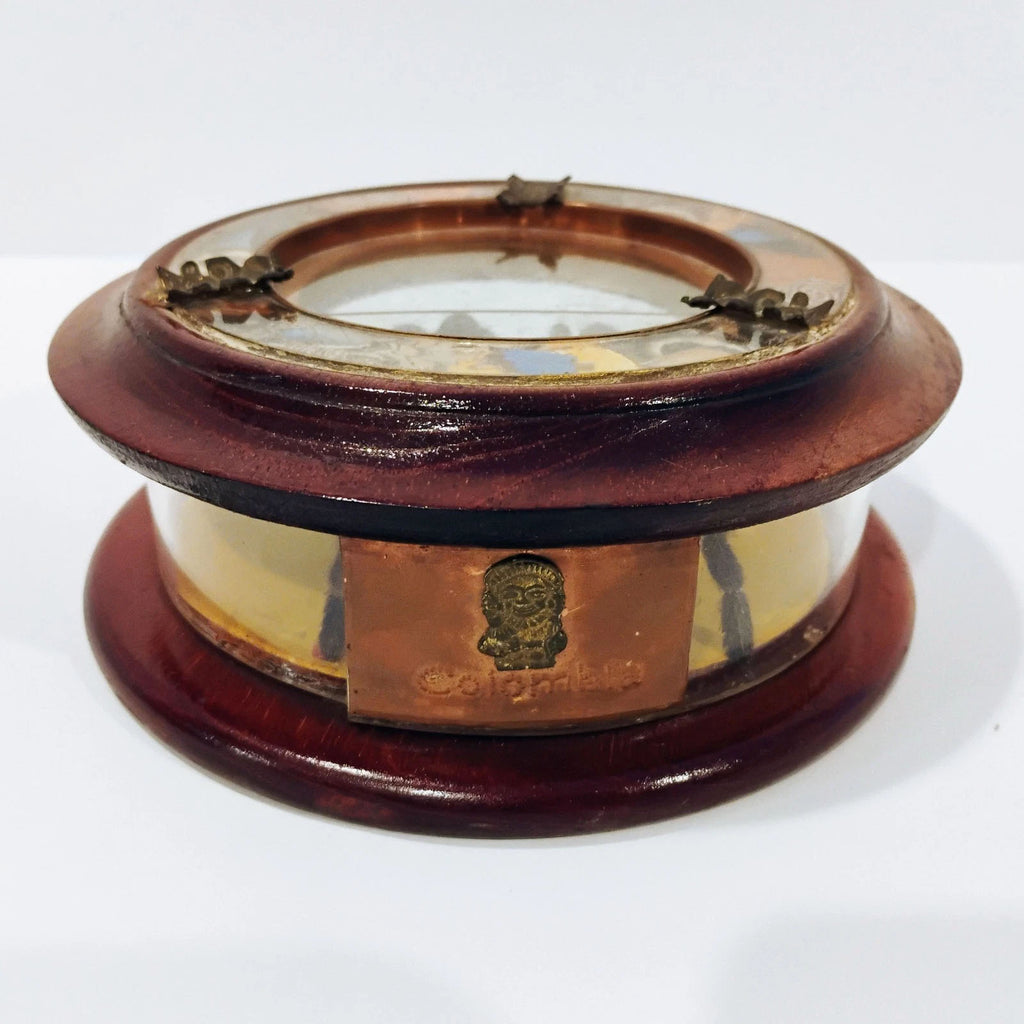 Antique Mounted Tarantula Golden Beetle in Display Case Butterfly Wings Columbia