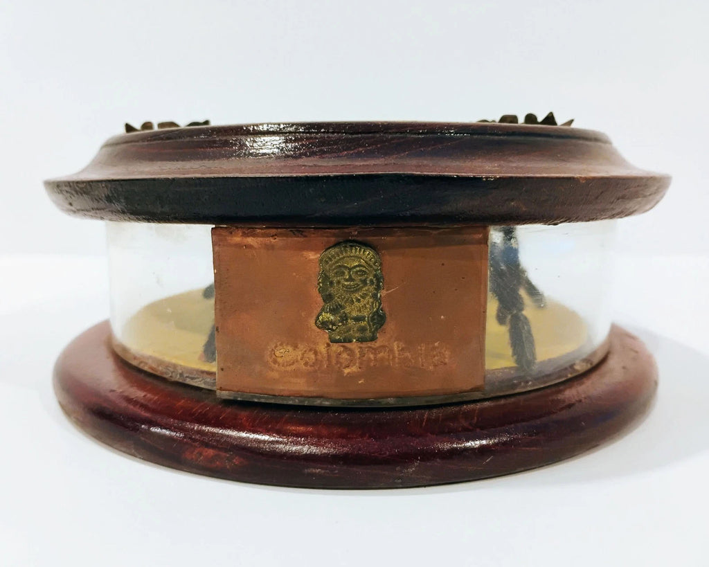 Antique Mounted Tarantula Golden Beetle in Display Case Butterfly Wings Columbia