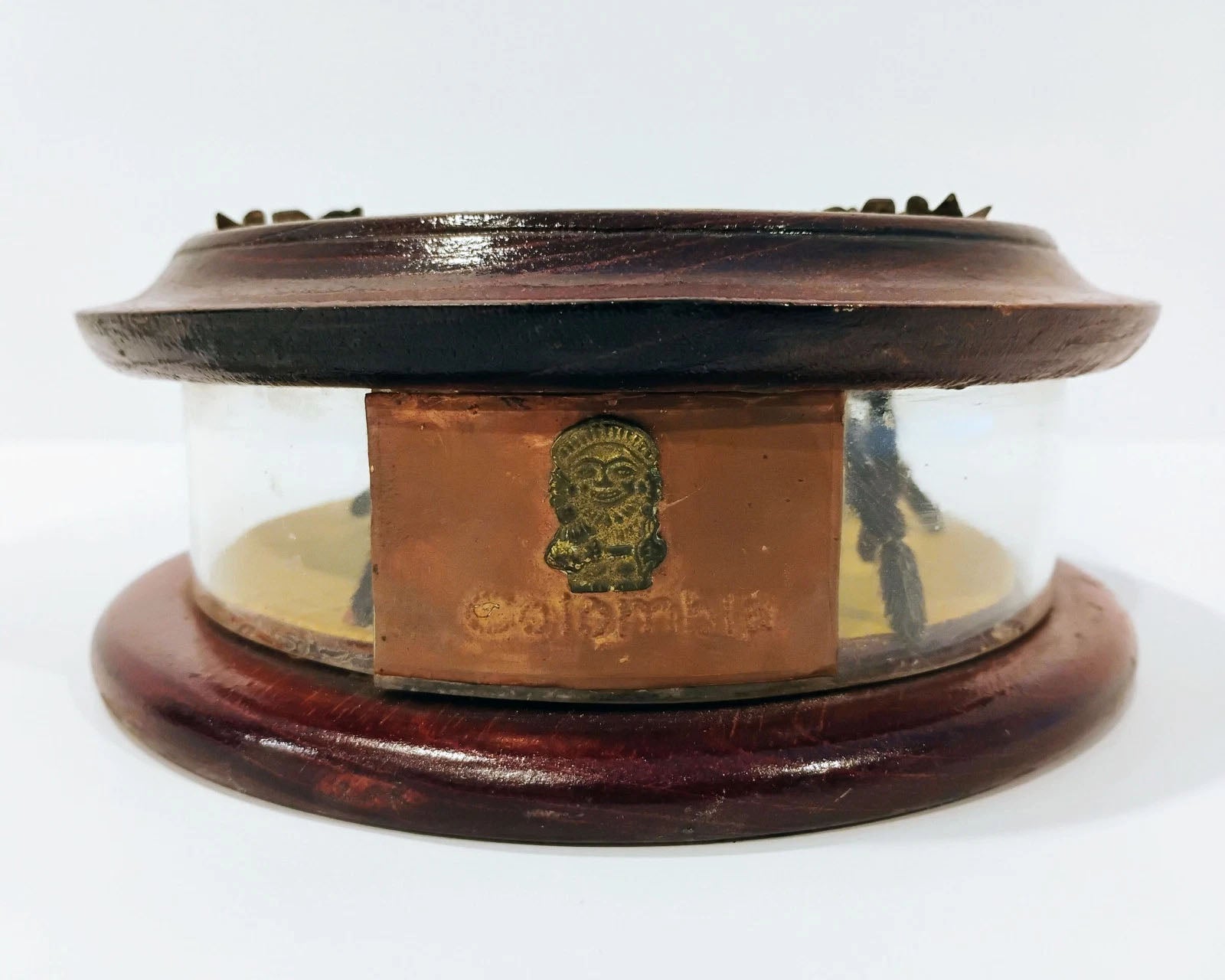 Antique Mounted Tarantula Golden Beetle in Display Case Butterfly Wings Columbia