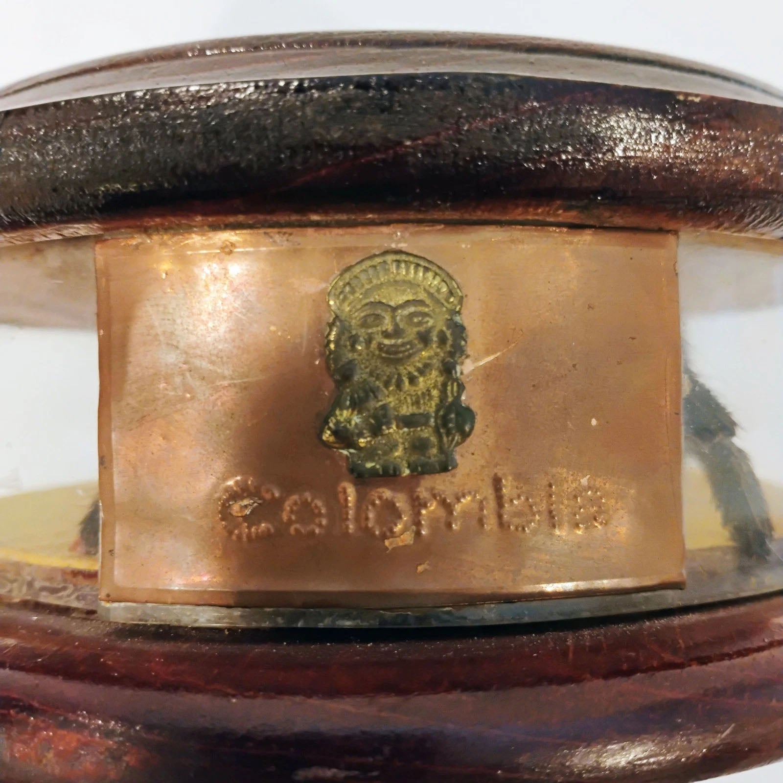 Antique Mounted Tarantula Golden Beetle in Display Case Butterfly Wings Columbia