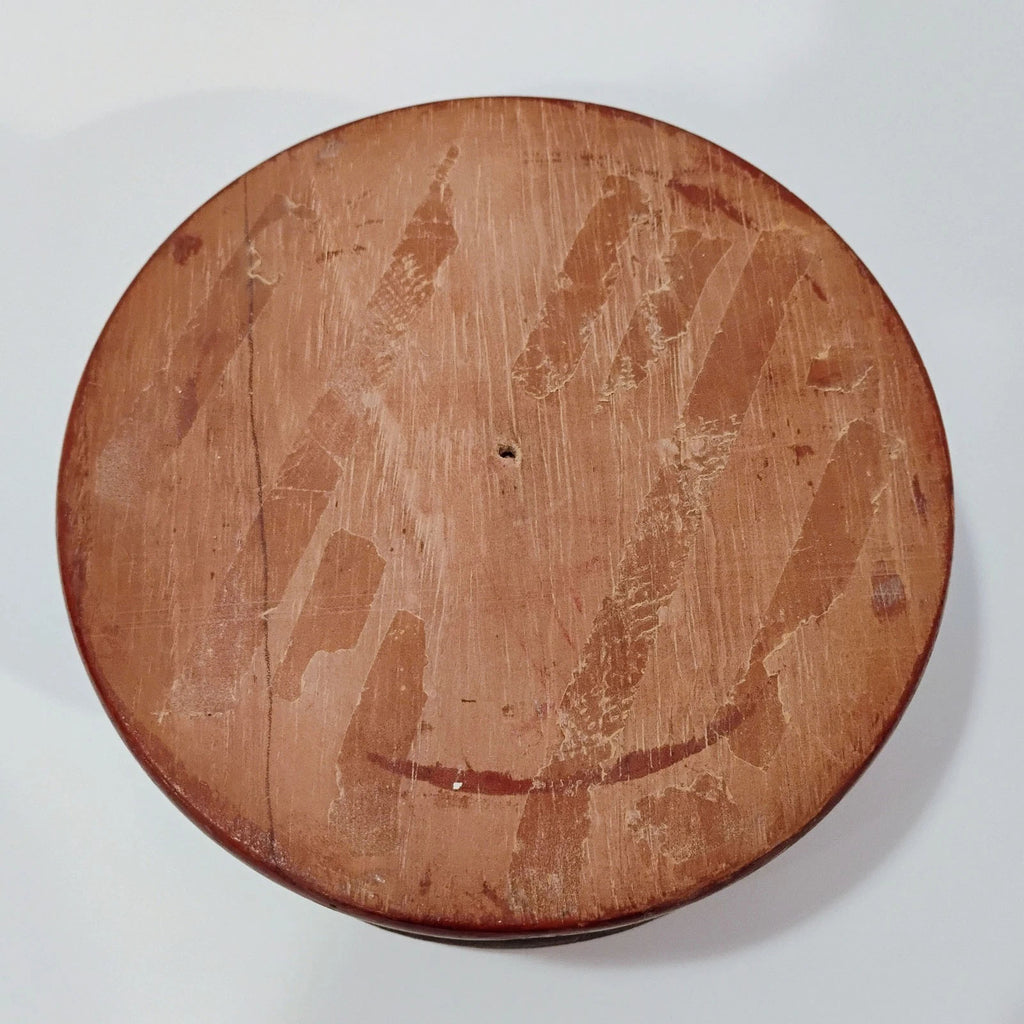 Antique Mounted Tarantula Golden Beetle in Display Case Butterfly Wings Columbia