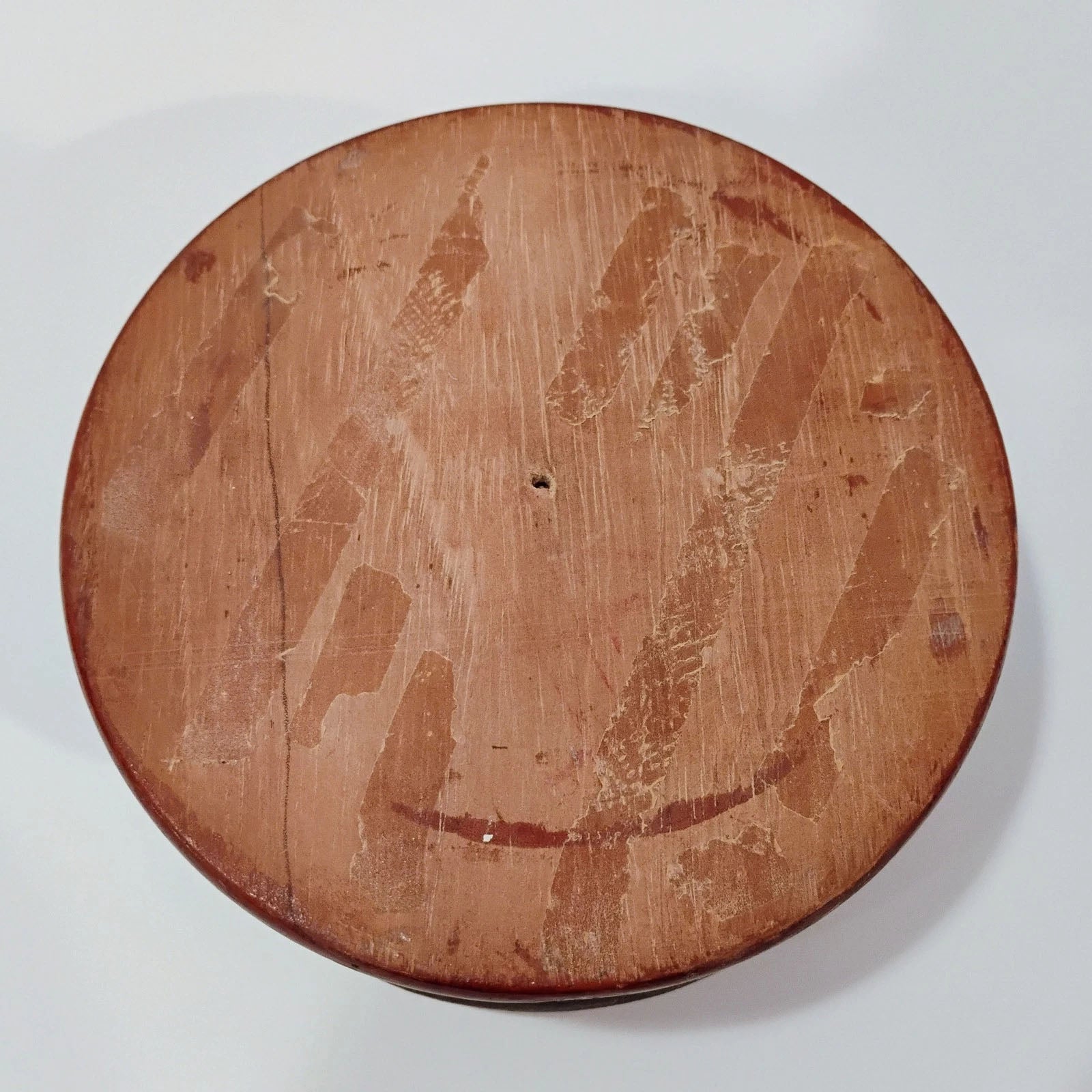 Antique Mounted Tarantula Golden Beetle in Display Case Butterfly Wings Columbia