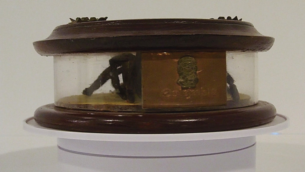 Antique Mounted Tarantula Golden Beetle in Display Case Butterfly Wings Columbia