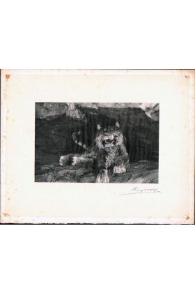 Henry Wolf 1890 Signed Wood Engraving Proof - Tiger after Adolf Menzel